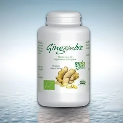 GPH DIFFUSION GINGEMBRE...
