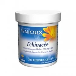 Fenioux echinacée...