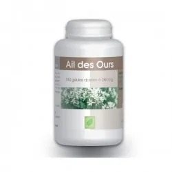 GPH DIFFUSION AIL DES OURS...