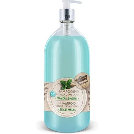 LES PETITS BAINS DE PROVENCE Shampoing doux 2 en 1 Menthe Fraîche 1L