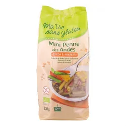 MA VIE SANS GLUTEN PENNE...