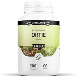 GPH DIFFUSION ORTIE RACINE...